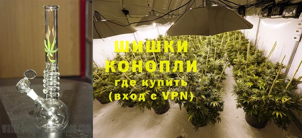 шишки Алексин