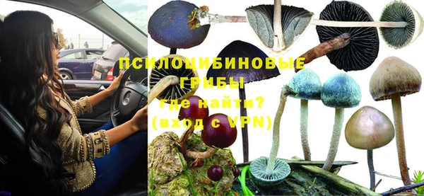 скорость Алексеевка