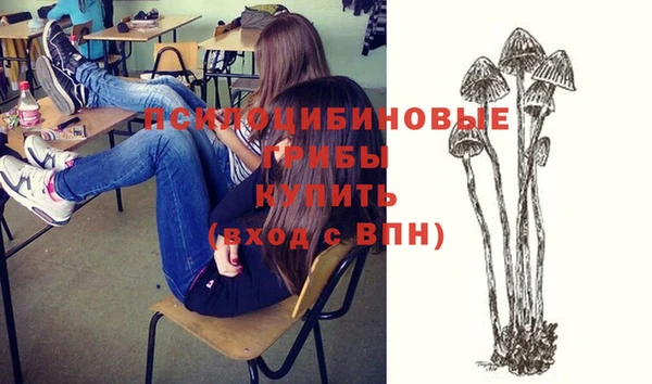 apvp Алзамай