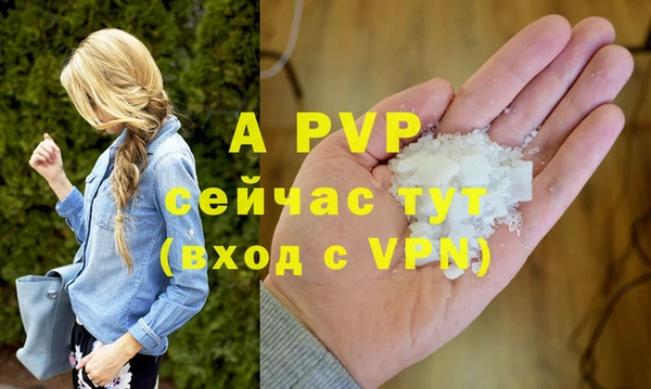 apvp Алзамай