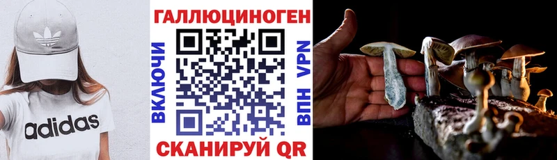 Галлюциногенные грибы Magic Shrooms  ОМГ ОМГ ссылка  площадка телеграм  Кувшиново 